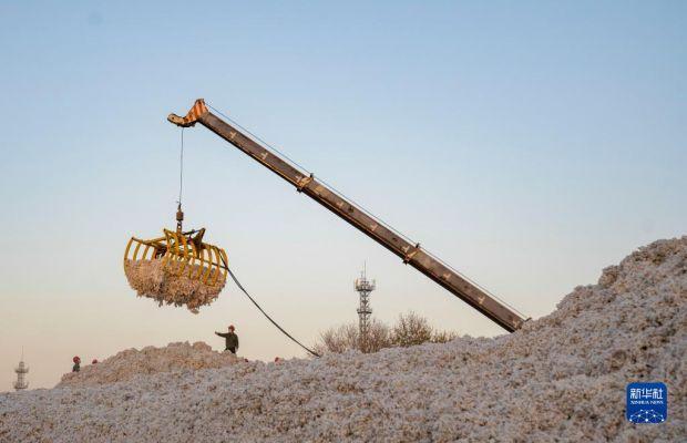 秋日,我国最大棉花生产基地新疆进入棉花大规模采收季,大型机械忙碌